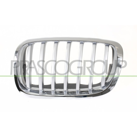 Grille Calandre côté chauffeur-Chromee/Titane