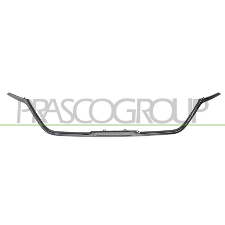 Moulure de Grille de Calandre-Inferieure-Chromee