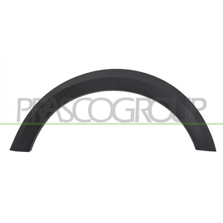 Extension d'Aile arrière côté chauffeur-Noire Structure'