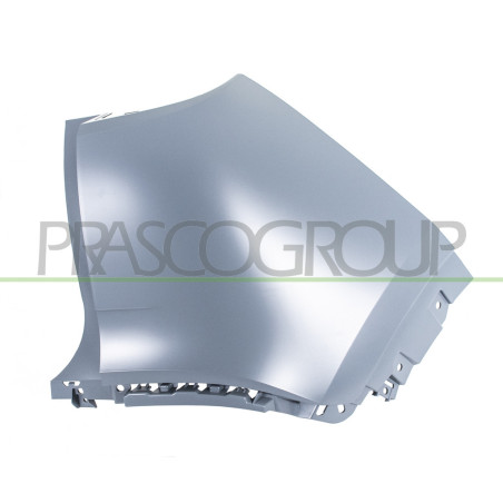 Embout côté passager de Pare-Chocs Arriere-avec Appret