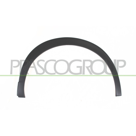 Extension d'Aile arrière côté chauffeur-Noire Structure'