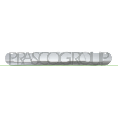 Bandeau Inferieur de Pare-Chocs Avant-Gris/Argent