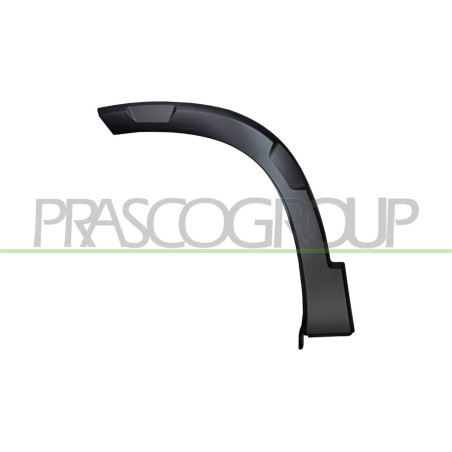 Extension d'Aile avant côté chauffeur-Partie Arriere-Noire Structure'