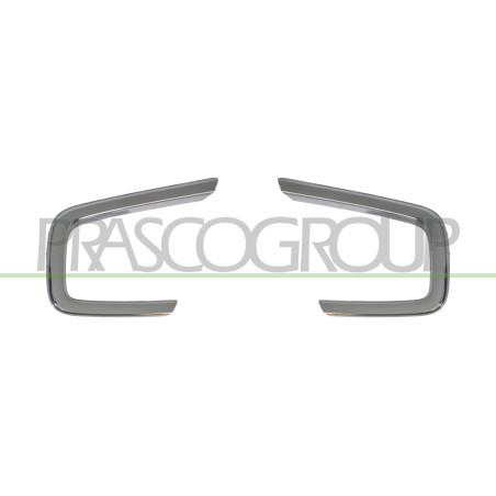 Jeu de Moulure de Grilles de Pare-Chocs Avant