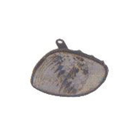 Feu avant côté chauffeur