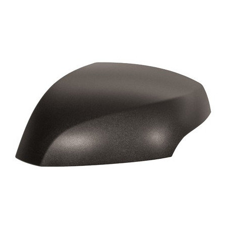 Coque de rétroviseur noir côté chauffeur