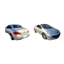 PEUGEOT - 307 : 09/05 - 01/09