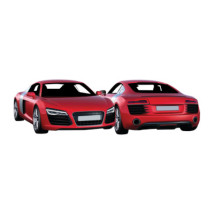 AUDI - R8 : 02/12 - 02/15