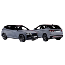 HYUNDAI - TUCSON NLINE : 02/21 -