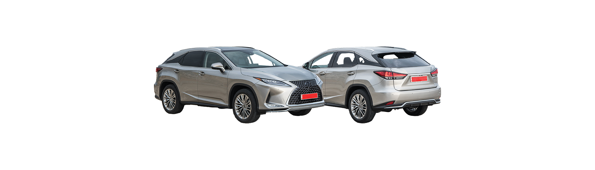 LEXUS - RX : 11/19 -