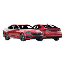 SKODA - OCTAVIA RS : 03/20 -